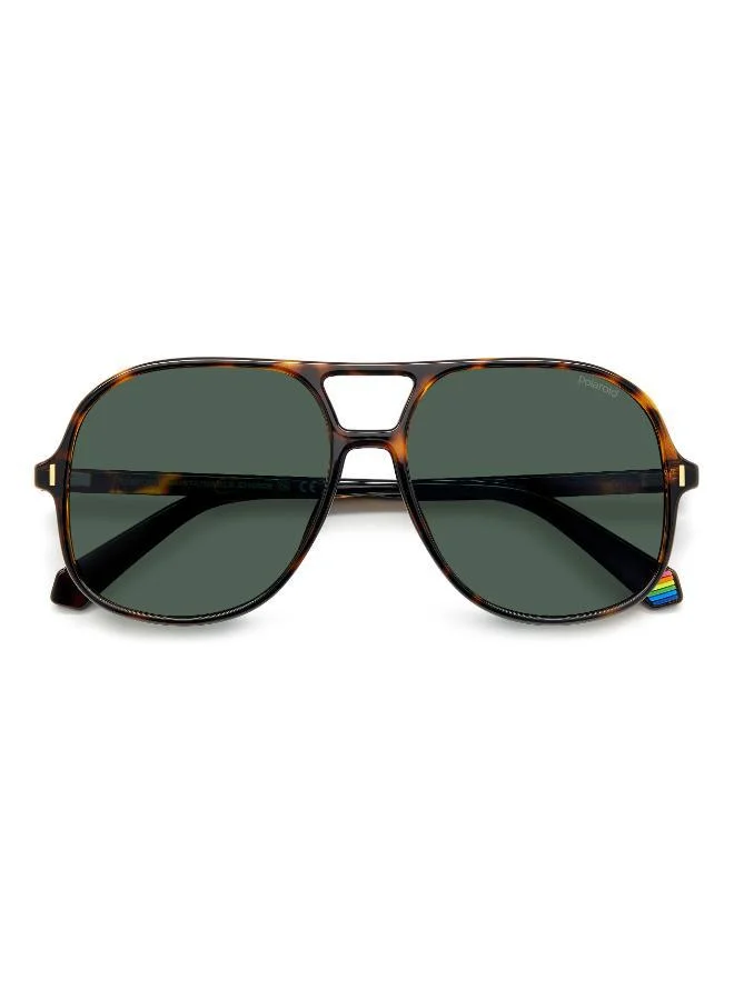 Polaroid  Square Double Bridge Sunglasses Frames  | Best Price UAE